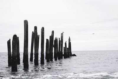 Wooden posts in sea against sky