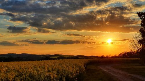 Scenic view of field against sky during sunset