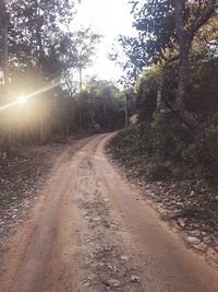 Road amidst trees against sky