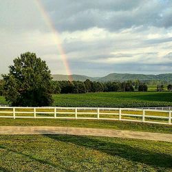 Scenic view of field against rainbow in sky