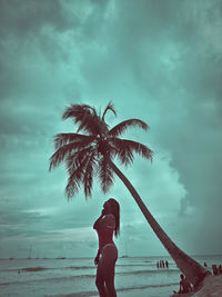 Low angle view of palm tree at beach against sky