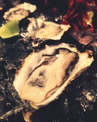 Close-up of ice cream at night