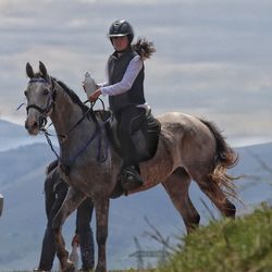 Man riding horse