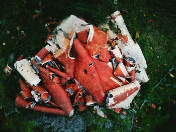 Directly above shot of birch tree bark on field