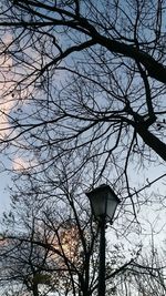 Low angle view of silhouette bare tree against sky