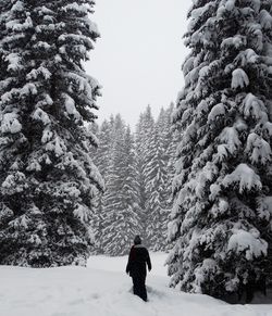 Rear view of woman walking on snow covered land