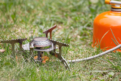 Close-up of mushroom growing on field