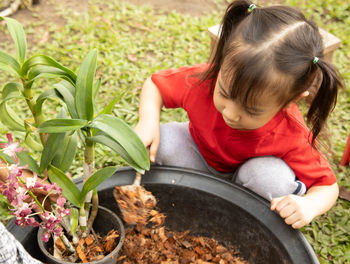 Rear view of woman holding food while sitting in yard