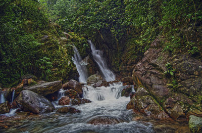 Scenic view of waterfall