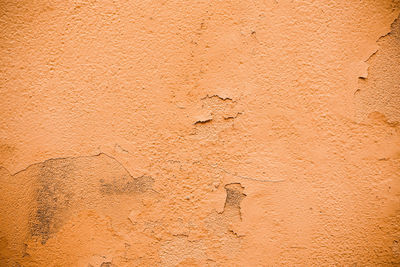 Close-up of footprints on wall