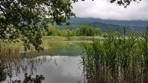 Scenic view of lake against sky