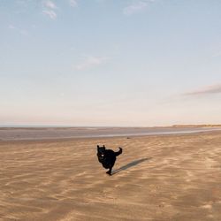 Man in sea against sky at beach