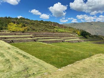 Scenic view of agricultural field against sky