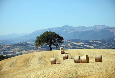 Hay bales on field against sky
