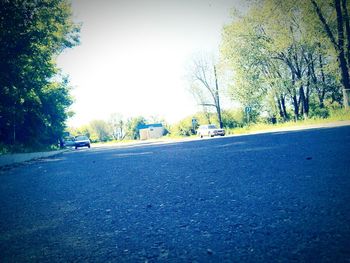 Road by trees against clear sky