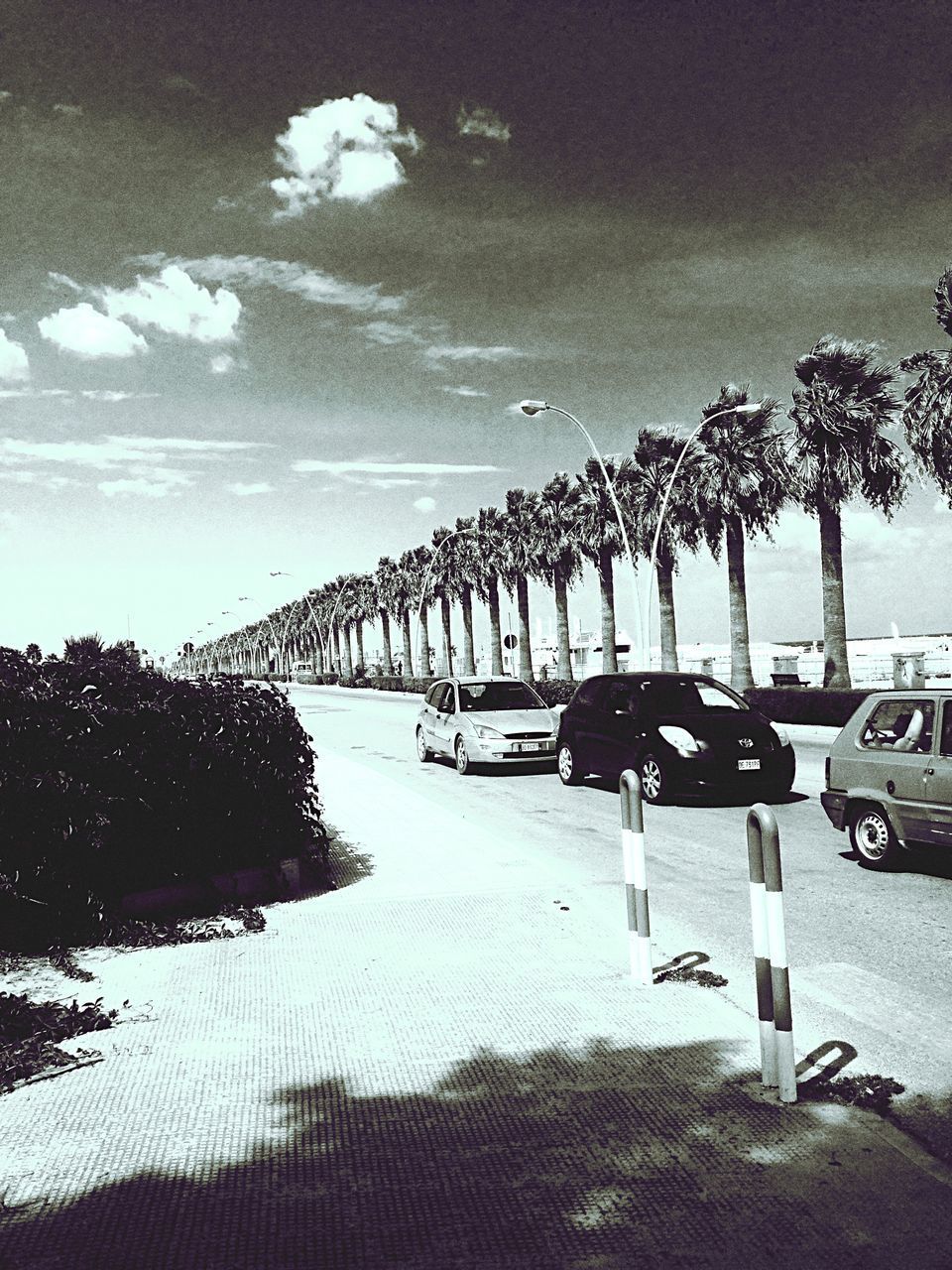 ROW OF CARS ON STREET AGAINST SKY