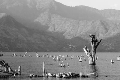 Birds perching on mountain by sea against sky