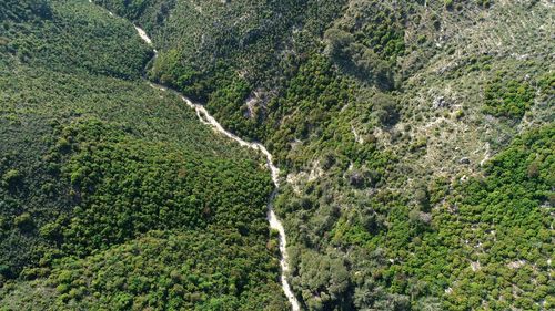 High angle view of plants growing on land and the beautiful valley 