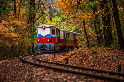 Train on railroad track in forest