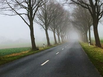 Empty road amidst bare trees against sky