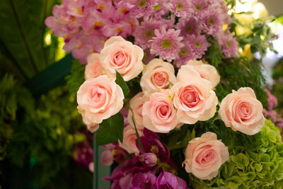 Close-up of pink roses