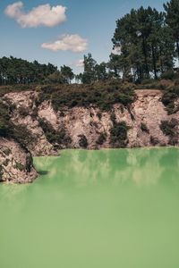 Scenic view of lake by trees against sky