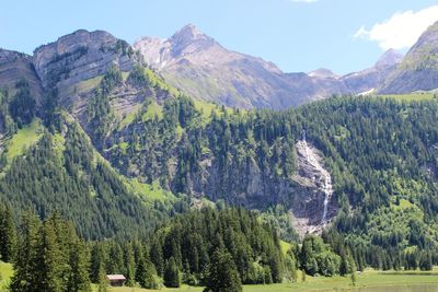 Panoramic view of trees and mountains against sky