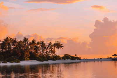 Scenic view of palm trees against sky during sunset