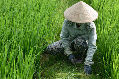 View of person working on field