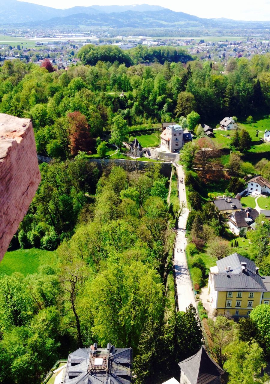 tree, building exterior, built structure, architecture, high angle view, house, town, mountain, water, green color, residential structure, townscape, nature, landscape, scenics, roof, growth, residential building, hill, day