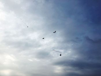 Low angle view of birds flying in sky