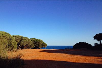 Scenic view of beach against clear sky