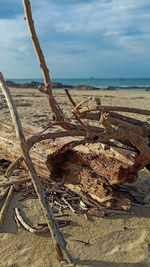 Driftwood on beach by sea against sky
