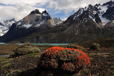 Scenic view of snowcapped mountains against sky