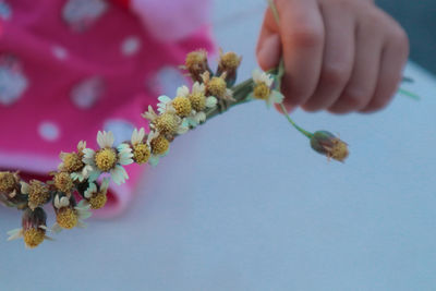 Close-up of hand holding flowering plant