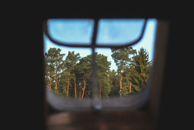 Close-up of trees seen through window