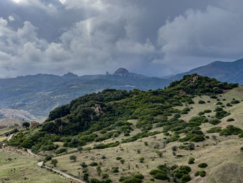 environment