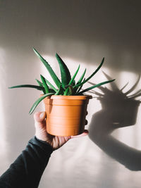 Midsection of person holding potted plant