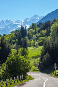 Road amidst trees and plants against sky