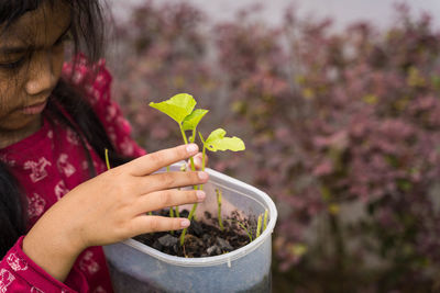 Close-up of woman holding plant