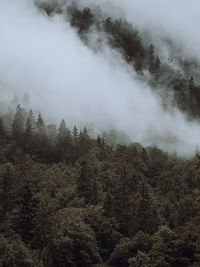 Scenic view of waterfall in forest against sky