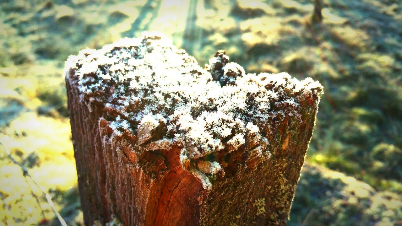 A fence post