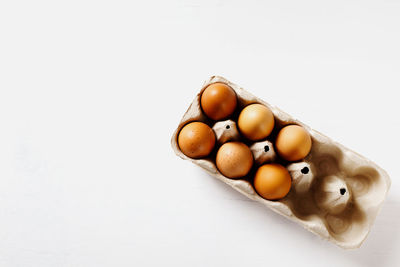 High angle view of eggs against white background