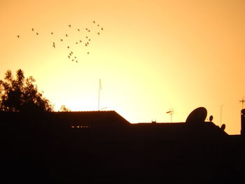 Silhouette birds flying in sky