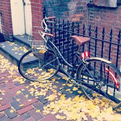 View of bicycles parked