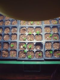 High angle view of food in box