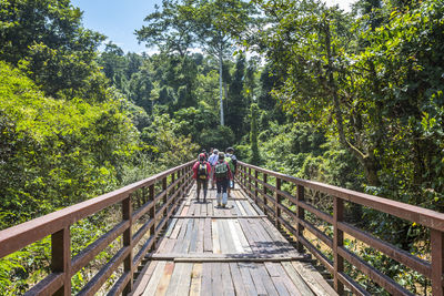 People walking on footbridge in forest