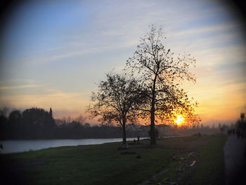 Silhouette trees on field against sky during sunset