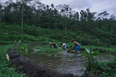 People at riverbank in forest