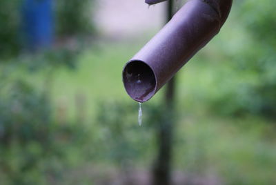 Close up of water drops on leaf